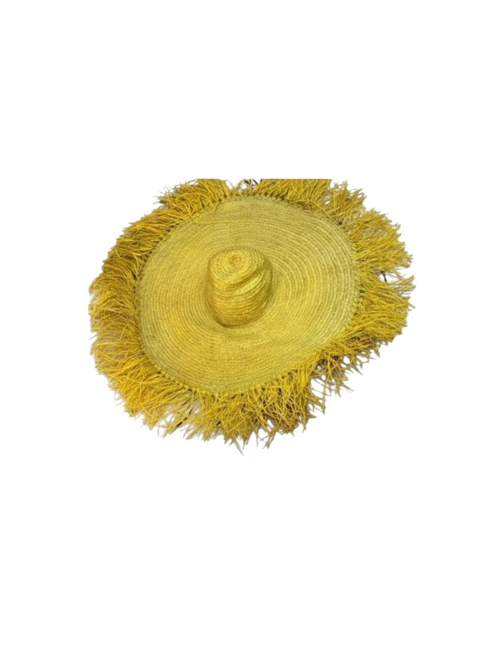 WhatsApp Image 2026-02-01 at 11.12.19 WhatsApp Image 2026-02-01 at 11.12.19